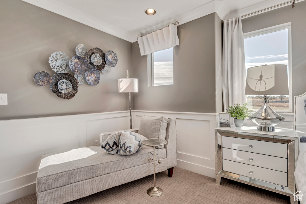 Living area featuring light colored carpet