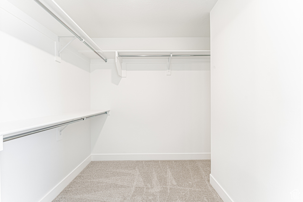 Spacious closet featuring light colored carpet
