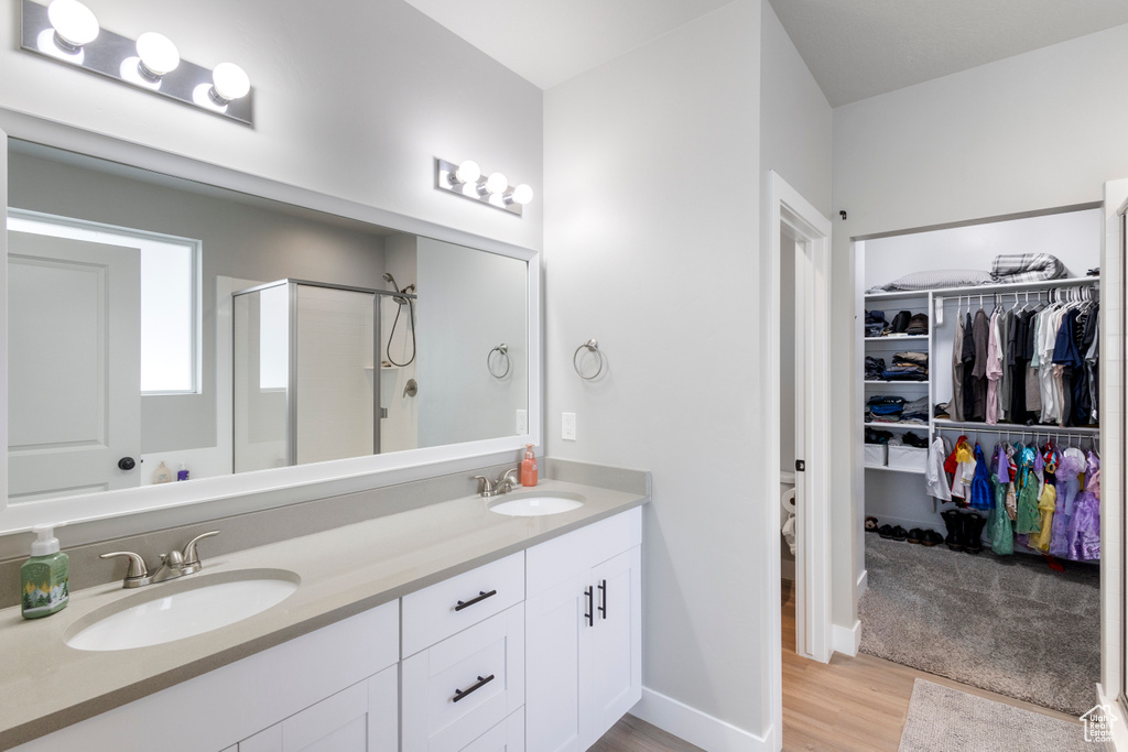 Bathroom with vanity, walk in shower, and wood-type flooring