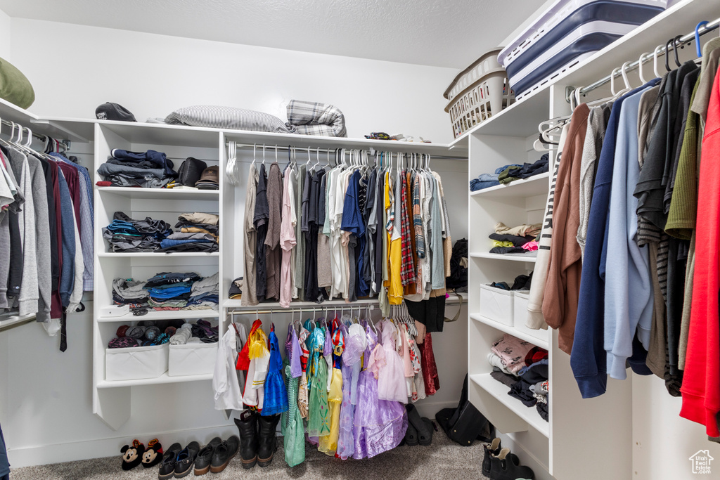 Spacious closet featuring carpet
