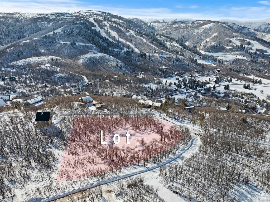 Mountain view