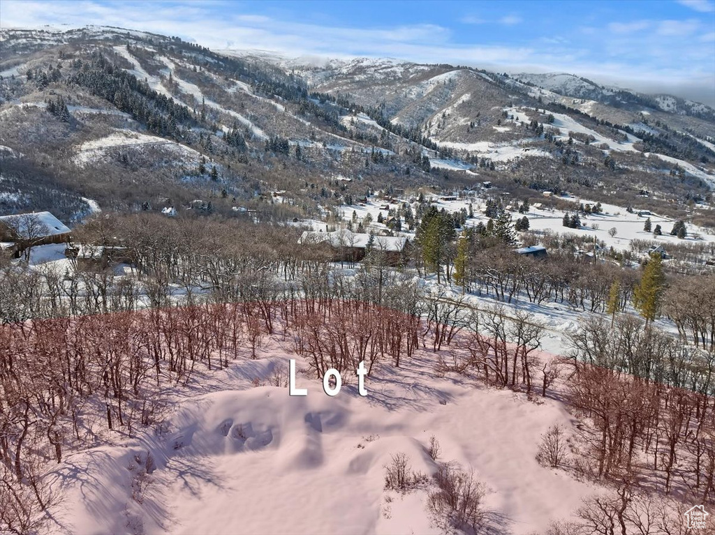 Property view of mountains