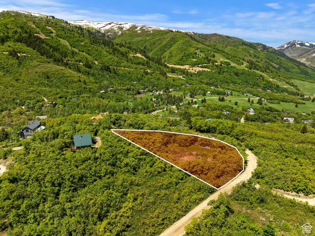 Aerial view with a mountain view