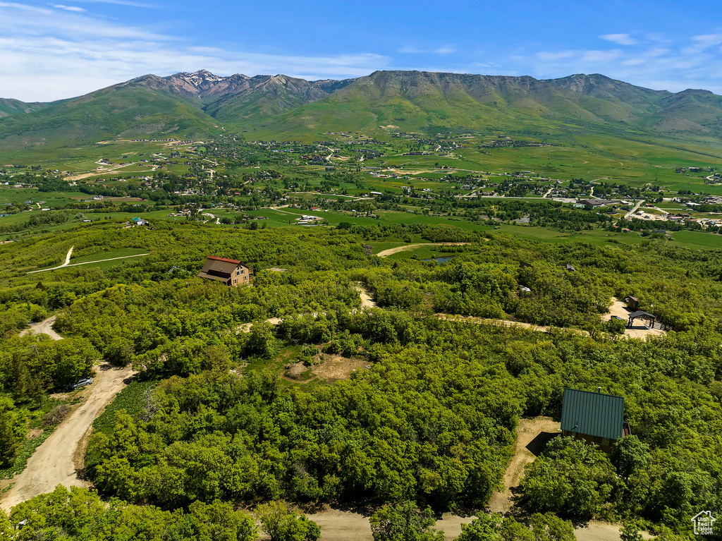 Drone / aerial view featuring a mountain view