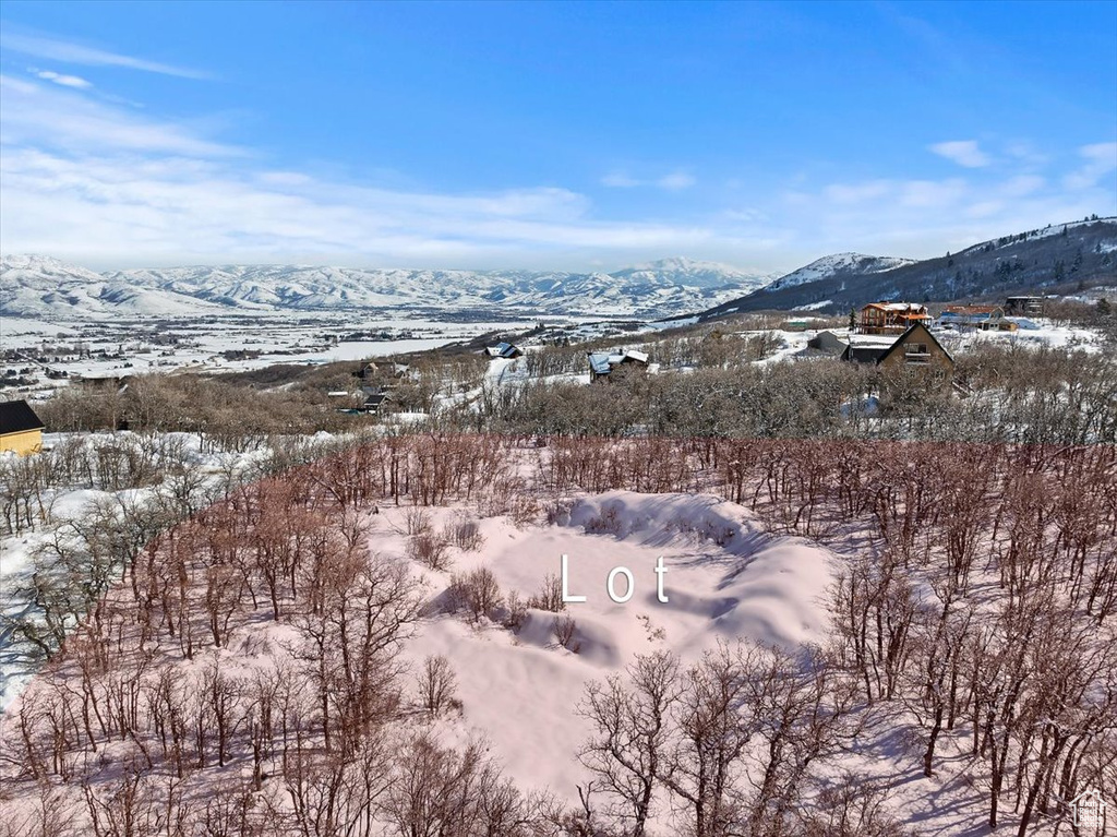 Property view of mountains