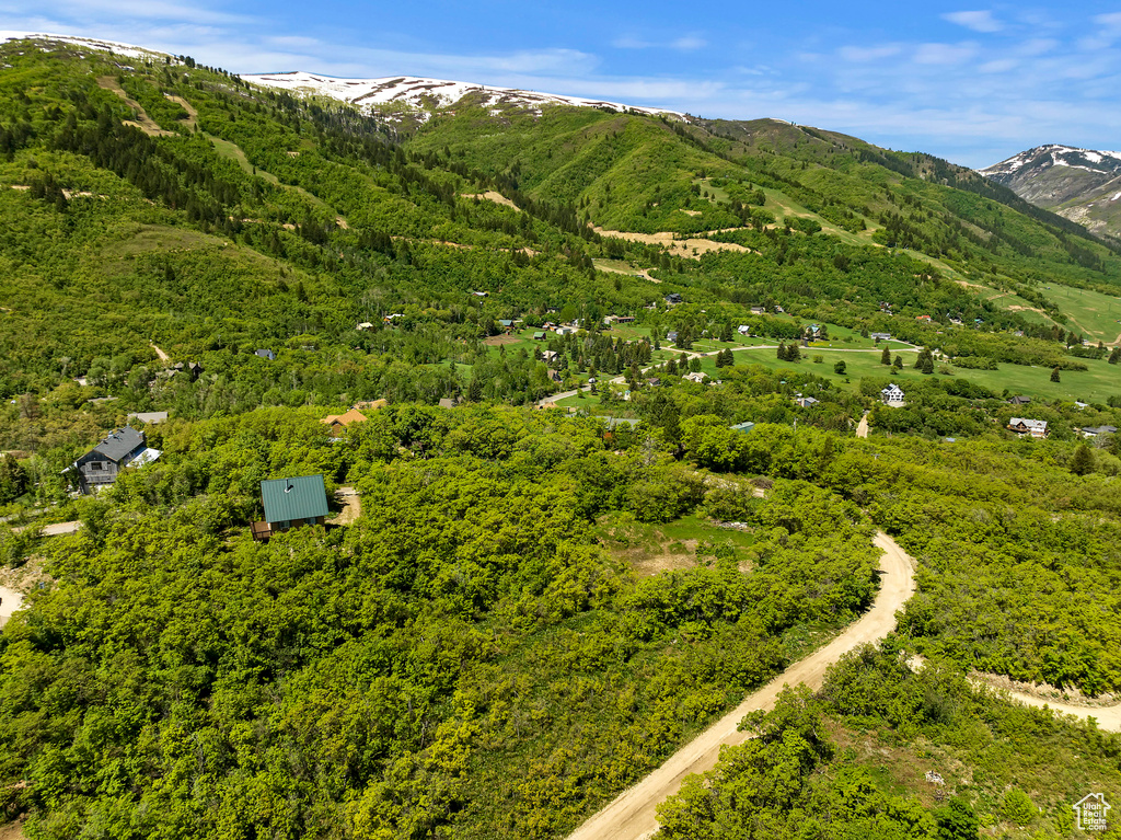 Bird\\\'s eye view with a mountain view