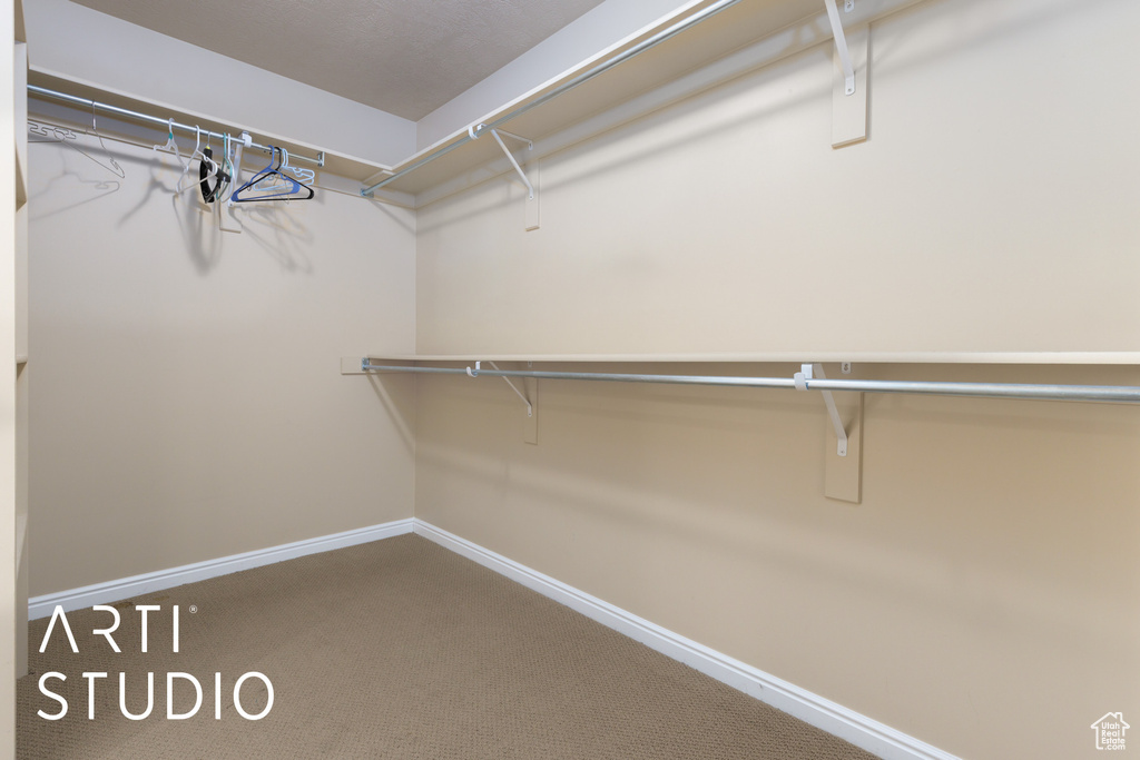 Spacious closet with carpet floors