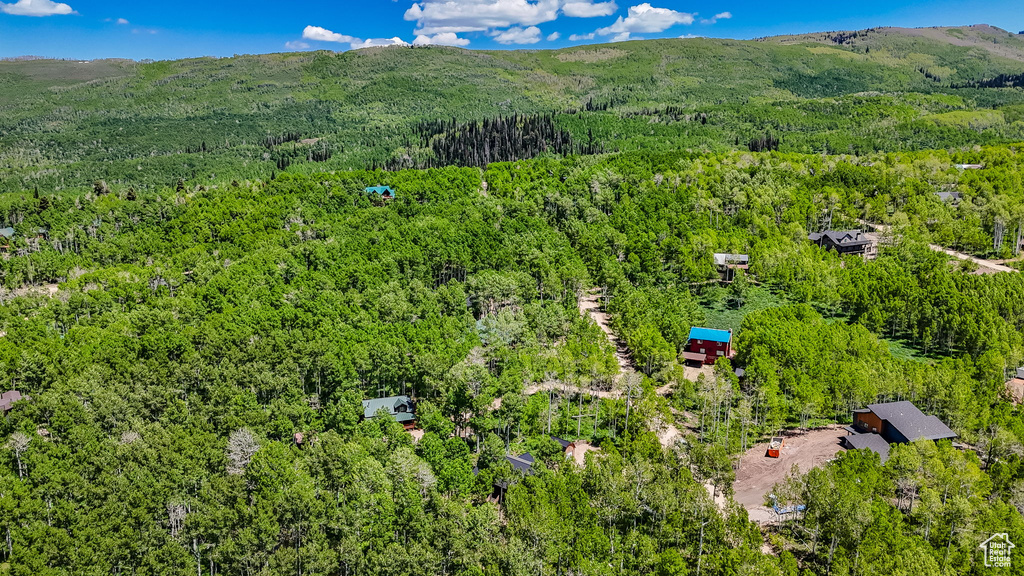 Aerial view of a heavily wooded area and mountains