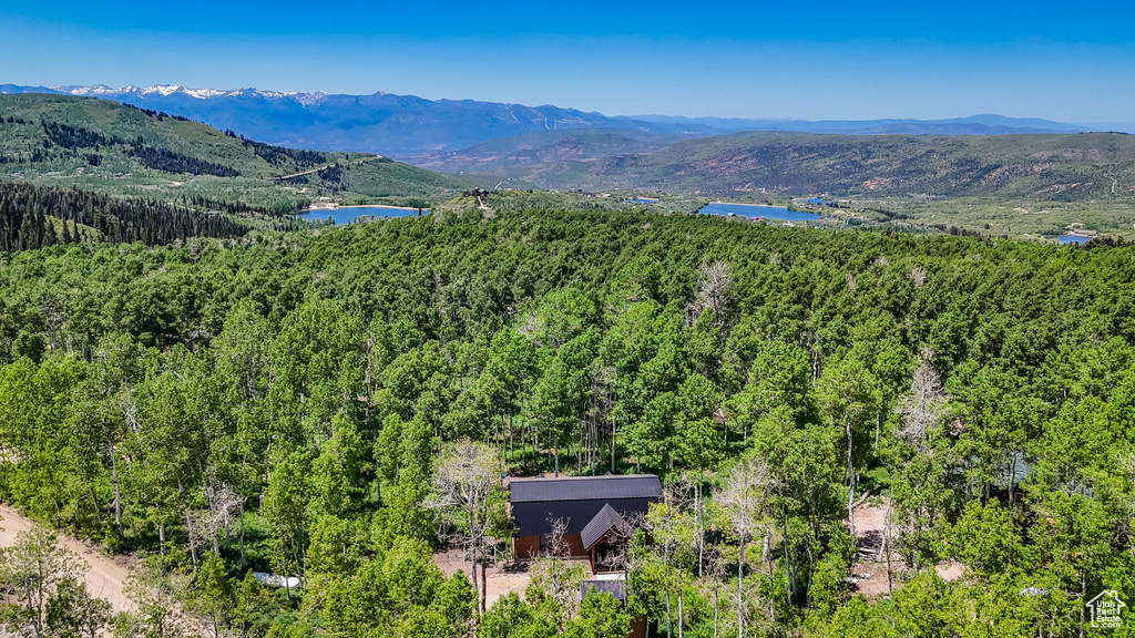 Aerial view of a heavily wooded area and a water and mountain view