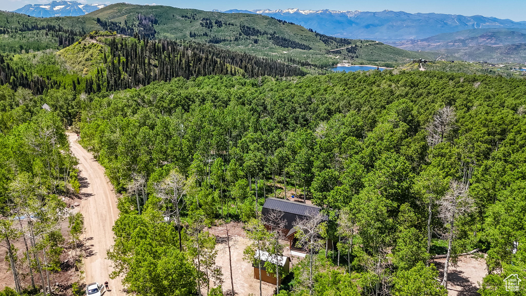 Aerial view of a heavily wooded area and a water and mountain view