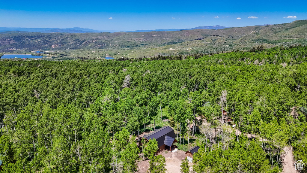 Drone / aerial view of a forest and a water and mountain view