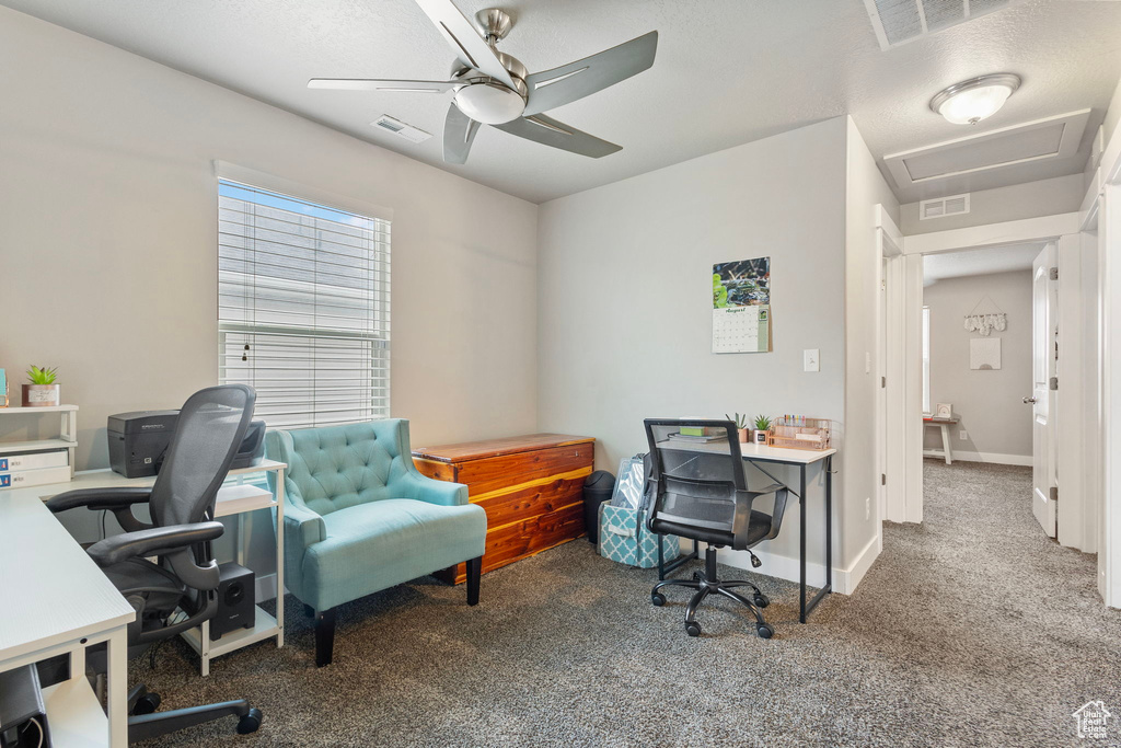 Carpeted office space with ceiling fan, attic access, visible vents, and baseboards