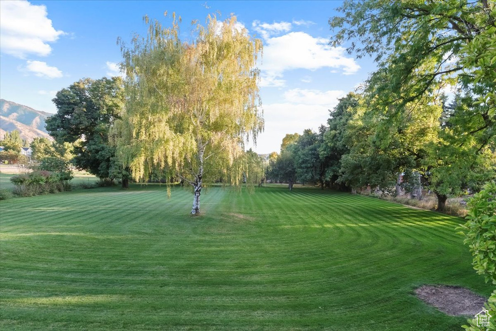 View of community with a lawn