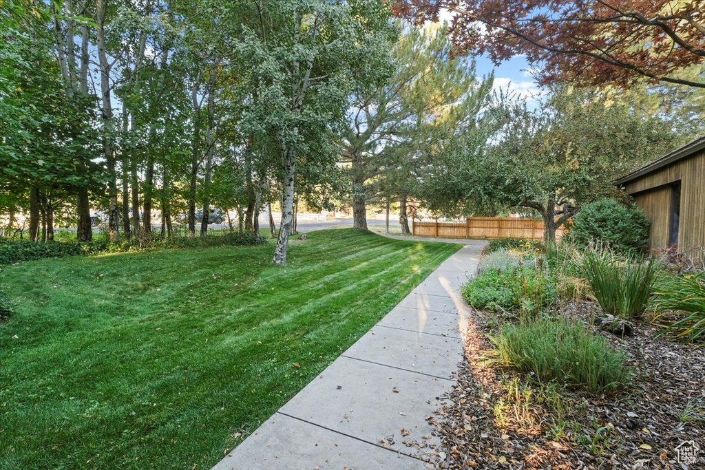 View of yard