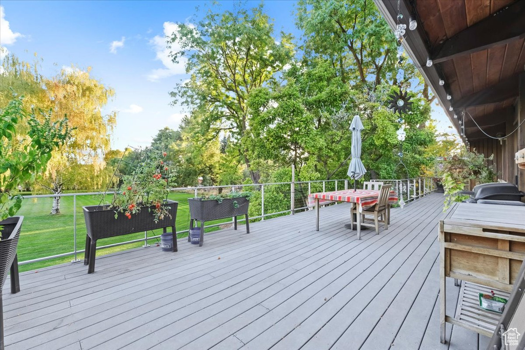 Wooden terrace with a grill