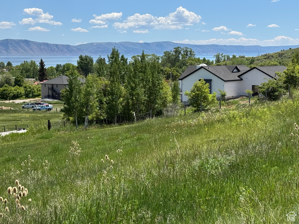 View of mountain background