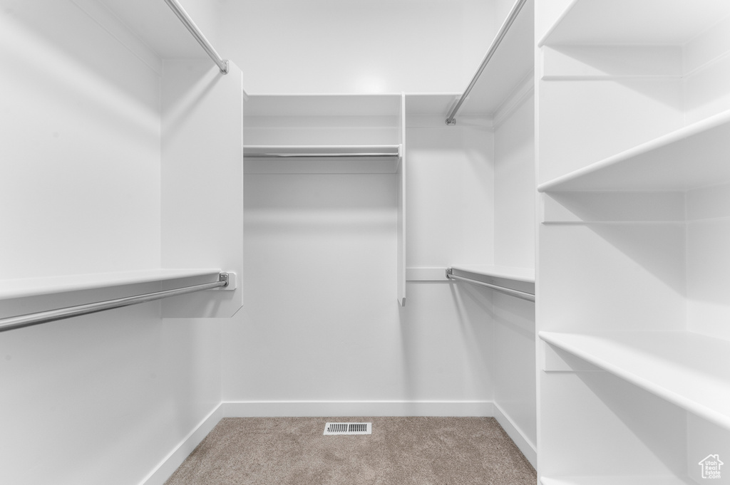 Spacious closet featuring carpet