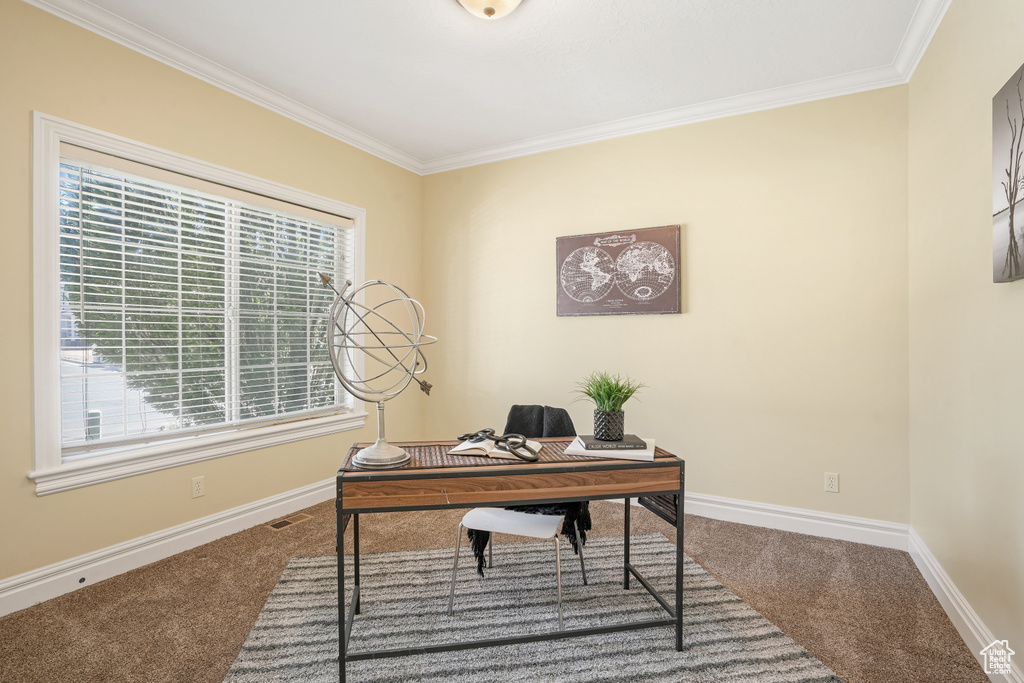 Office space featuring ornamental molding, carpet, visible vents, and baseboards