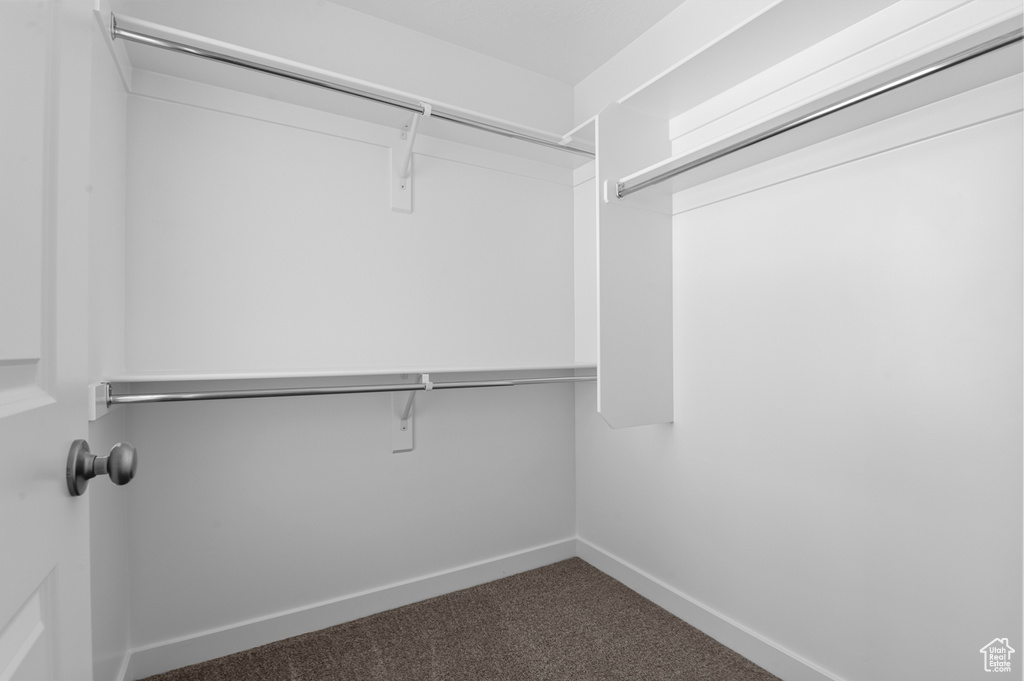 Walk in closet with carpet floors
