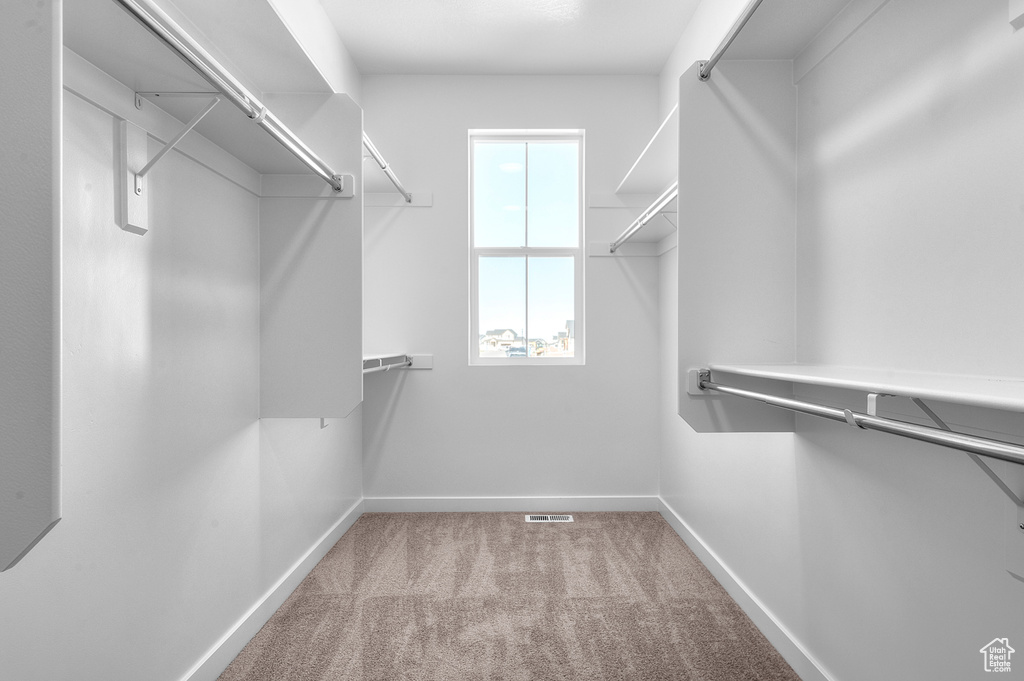 Spacious closet featuring carpet flooring