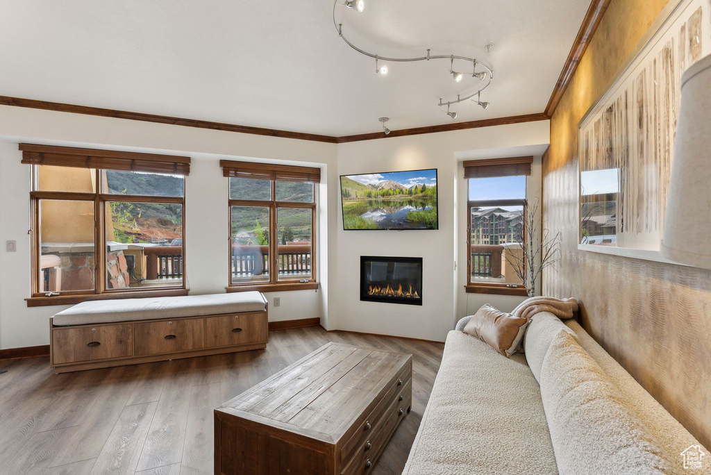 Living room with a glass covered fireplace, plenty of natural light, crown molding, and baseboards