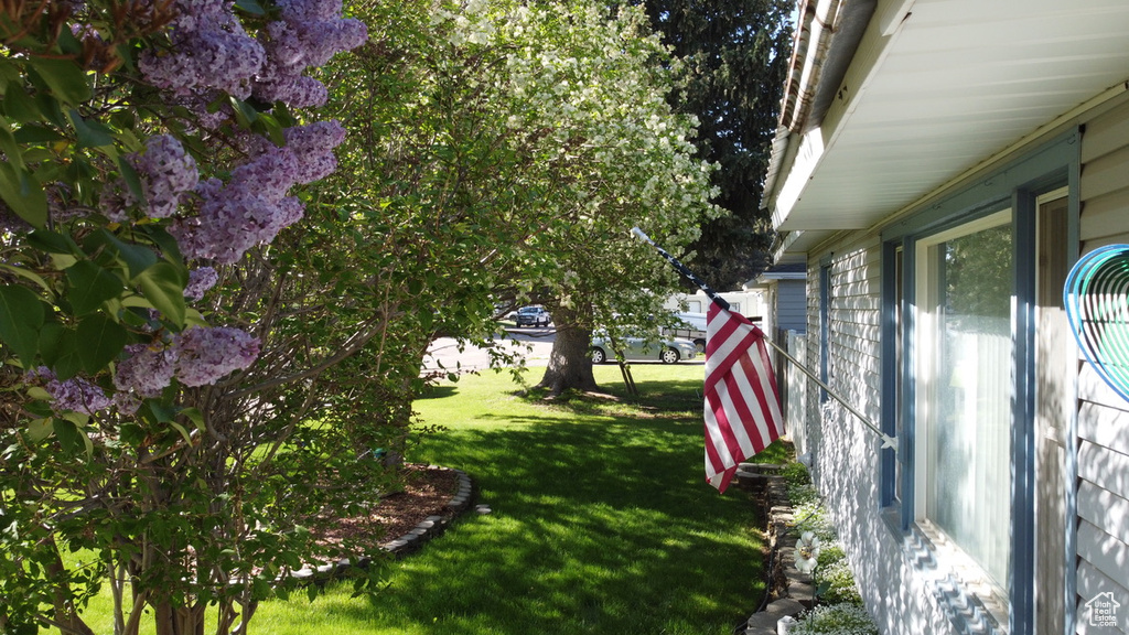 View of grassy yard