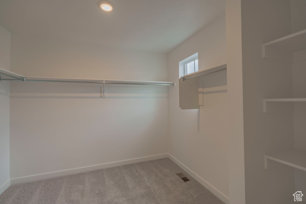 Walk in closet featuring carpet floors