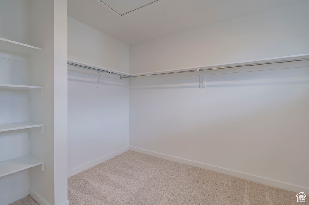 Spacious closet with carpet