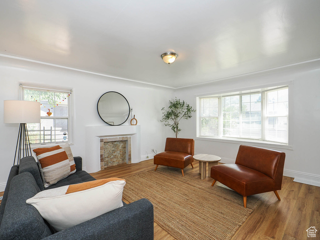 Living area featuring a fireplace, wood finished floors, and baseboards
