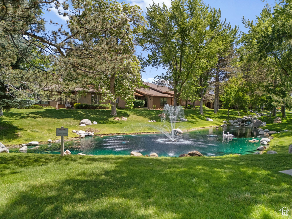 View of green lawn