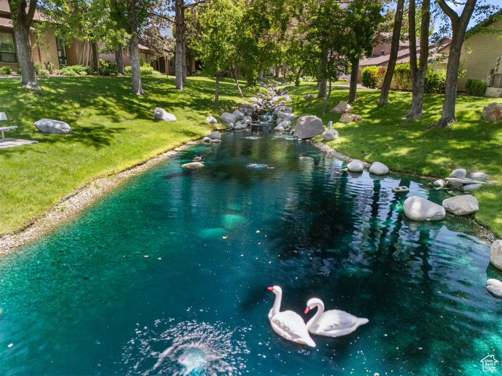 View of pool with a yard