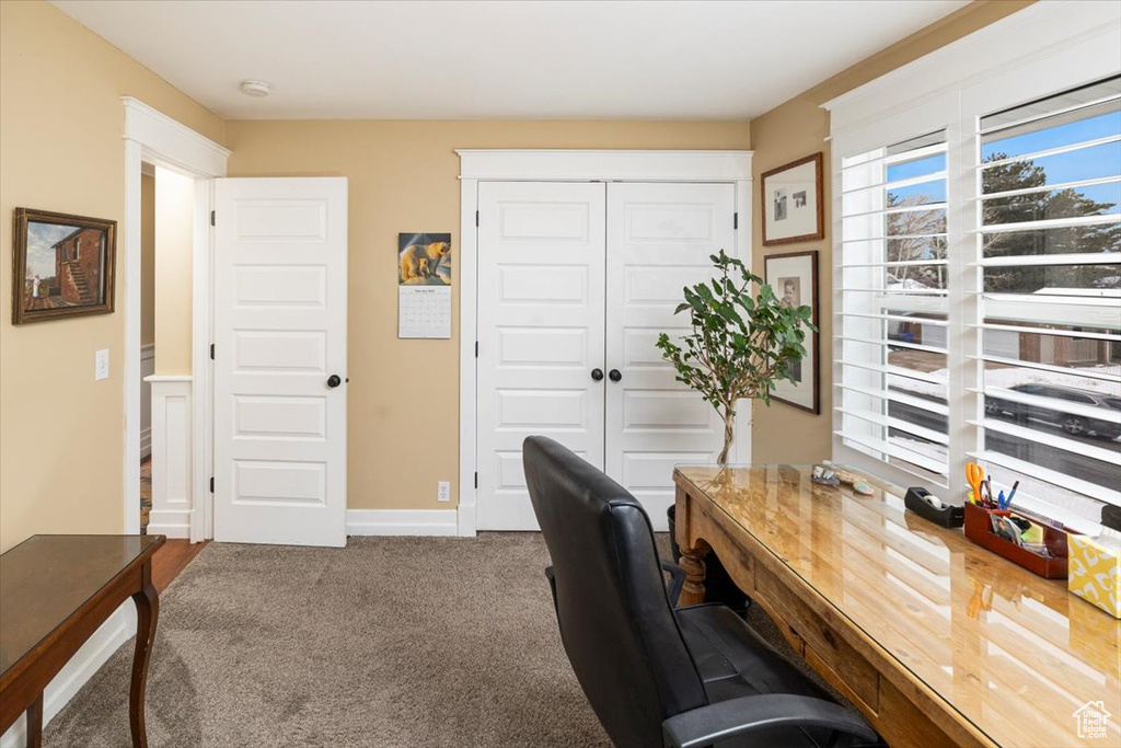 Home office with carpet and baseboards