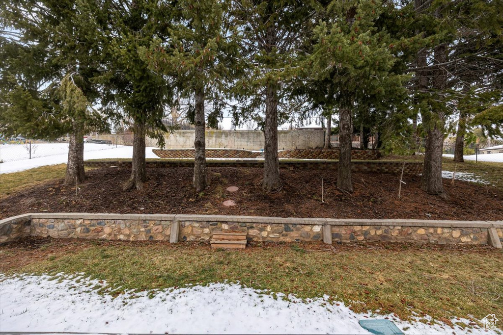 Yard layered in snow with fence