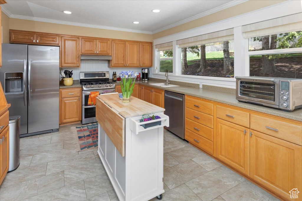 Kitchen with a toaster, crown molding, under cabinet range hood, appliances with stainless steel finishes, and a sink