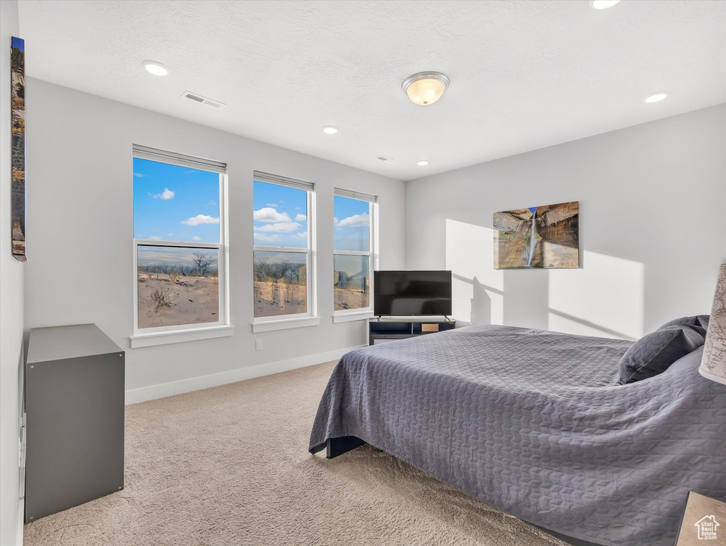 Bedroom featuring carpet floors, recessed lighting, visible vents, and baseboards