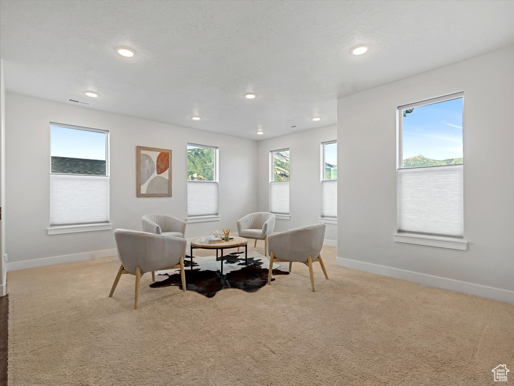 Sitting room with carpet and recessed lighting