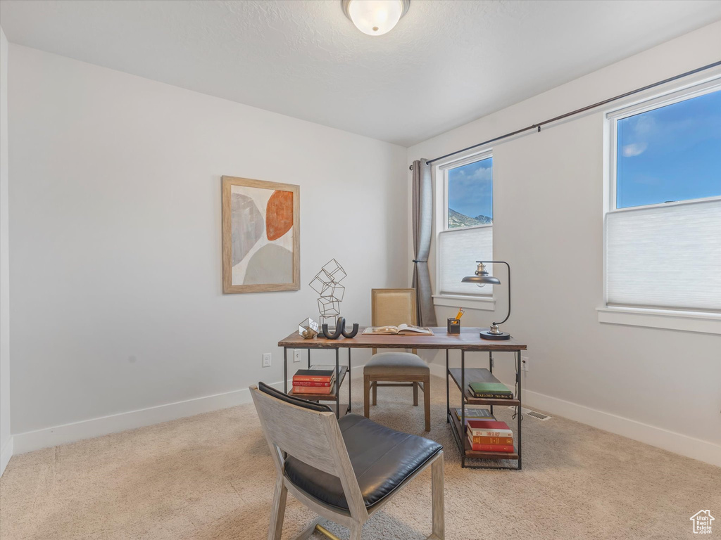 Home office with carpet flooring and baseboards