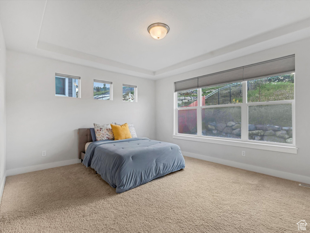 Carpeted bedroom with a raised ceiling and multiple windows