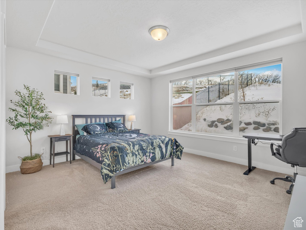 Carpeted bedroom with a raised ceiling and baseboards