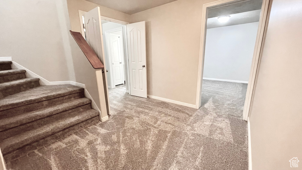 Stairway with carpet and baseboards