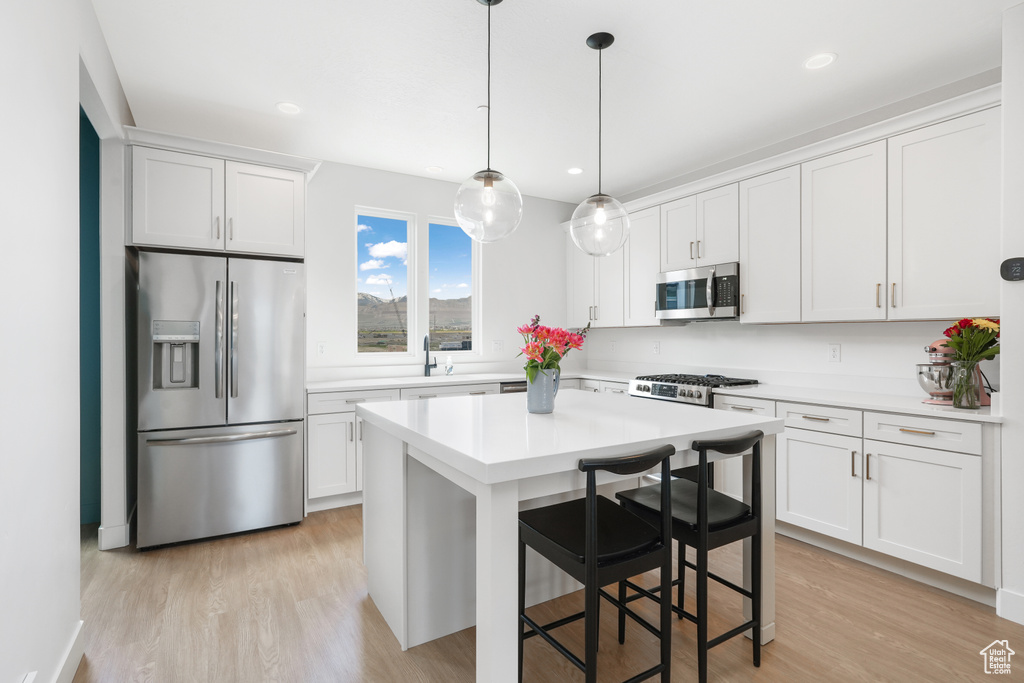 11054 S LAKE RUN RD South Jordan, UT 84009