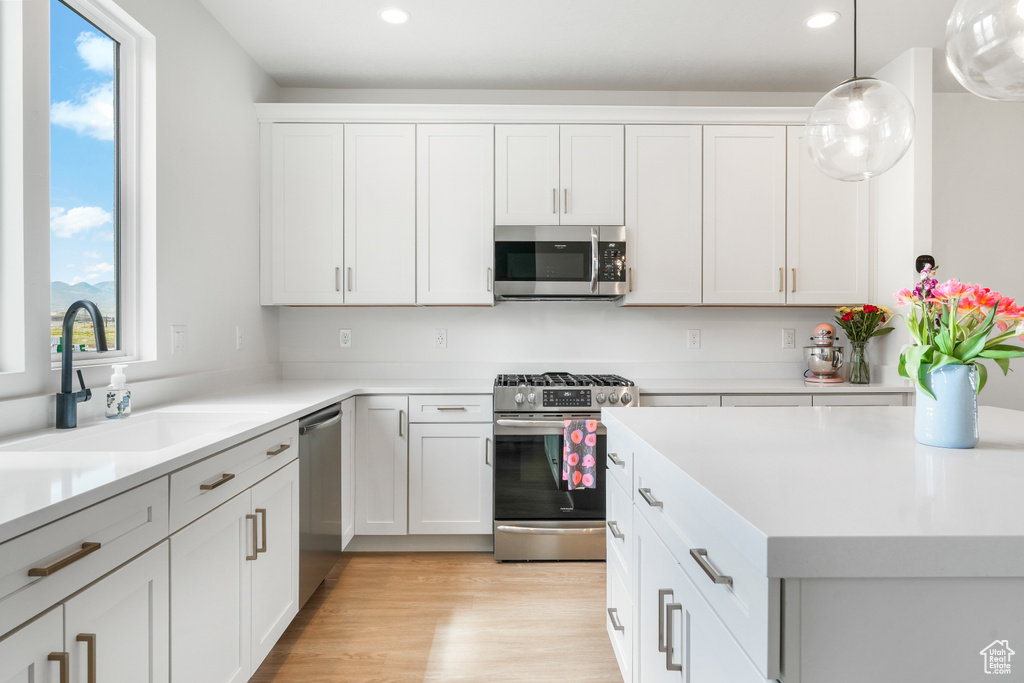 11054 S LAKE RUN RD South Jordan, UT 84009
