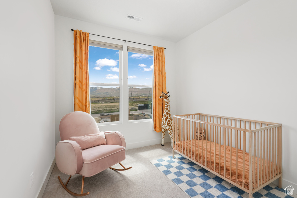 11054 S LAKE RUN RD South Jordan, UT 84009