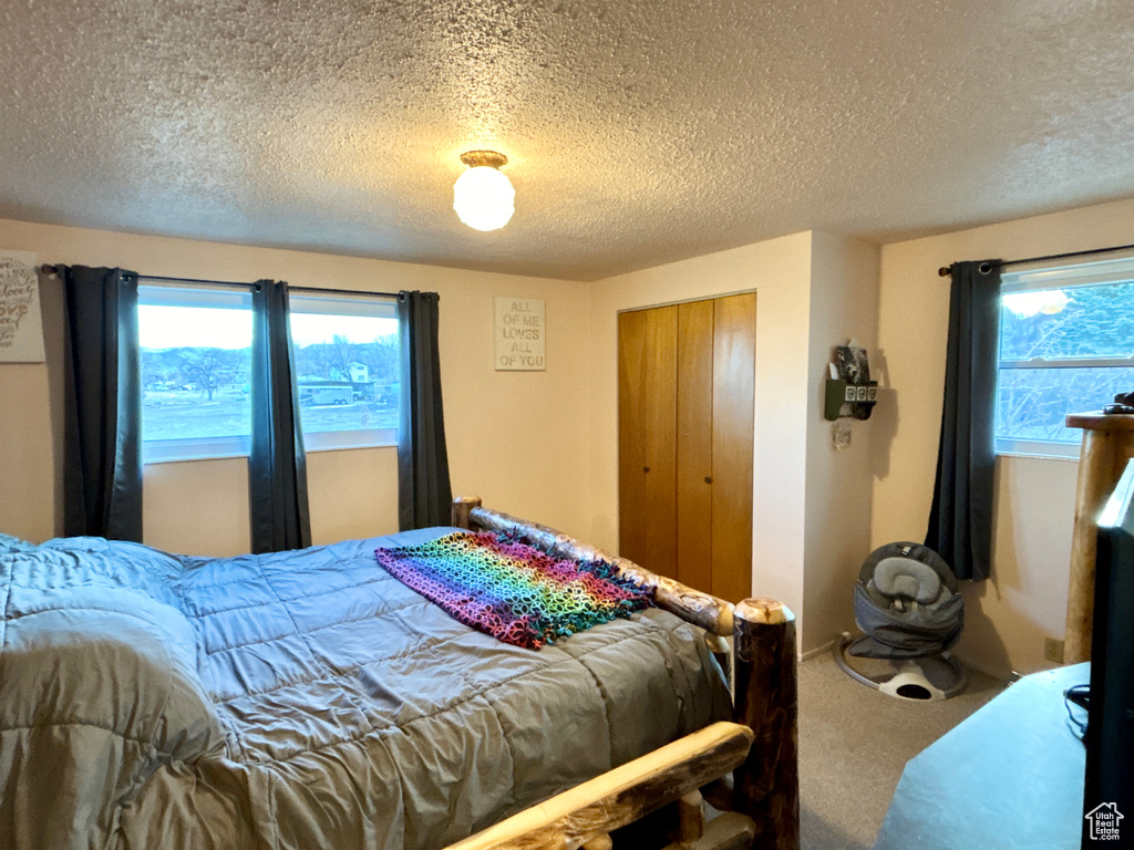 Carpeted bedroom with a closet, multiple windows, and a textured ceiling