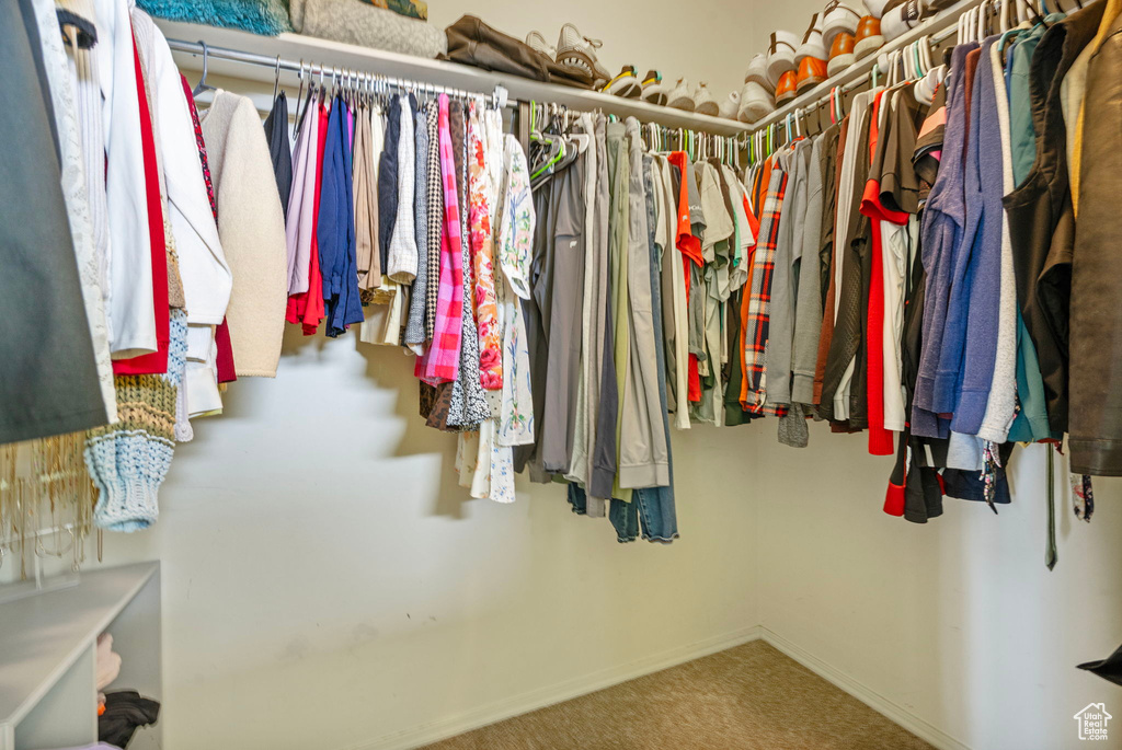 View of walk in closet