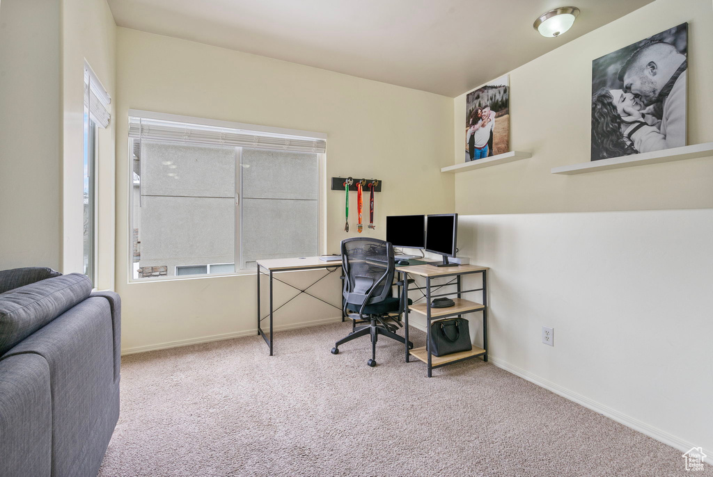 Office space featuring carpet and baseboards