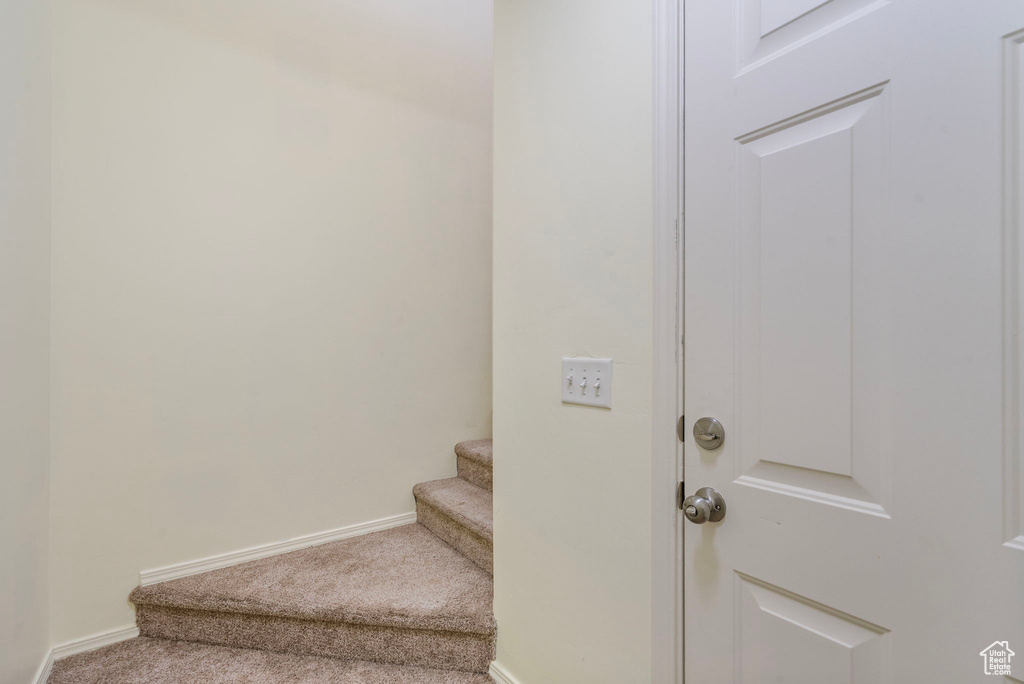 Stairway featuring carpet floors and baseboards