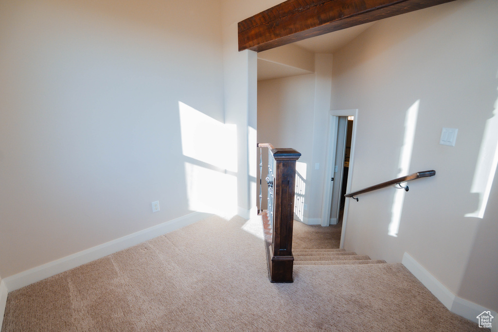 Stairway featuring baseboards and carpet flooring