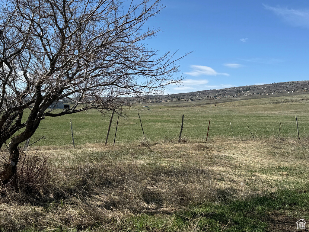 View of yard with a rural view