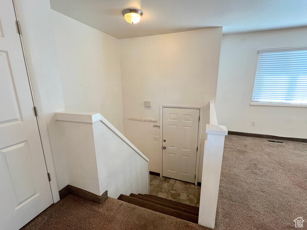 Stairway with baseboards, visible vents, and carpet flooring